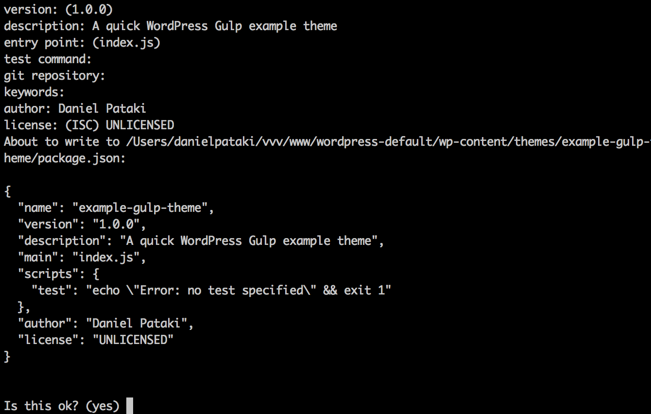Questions following the npm init command