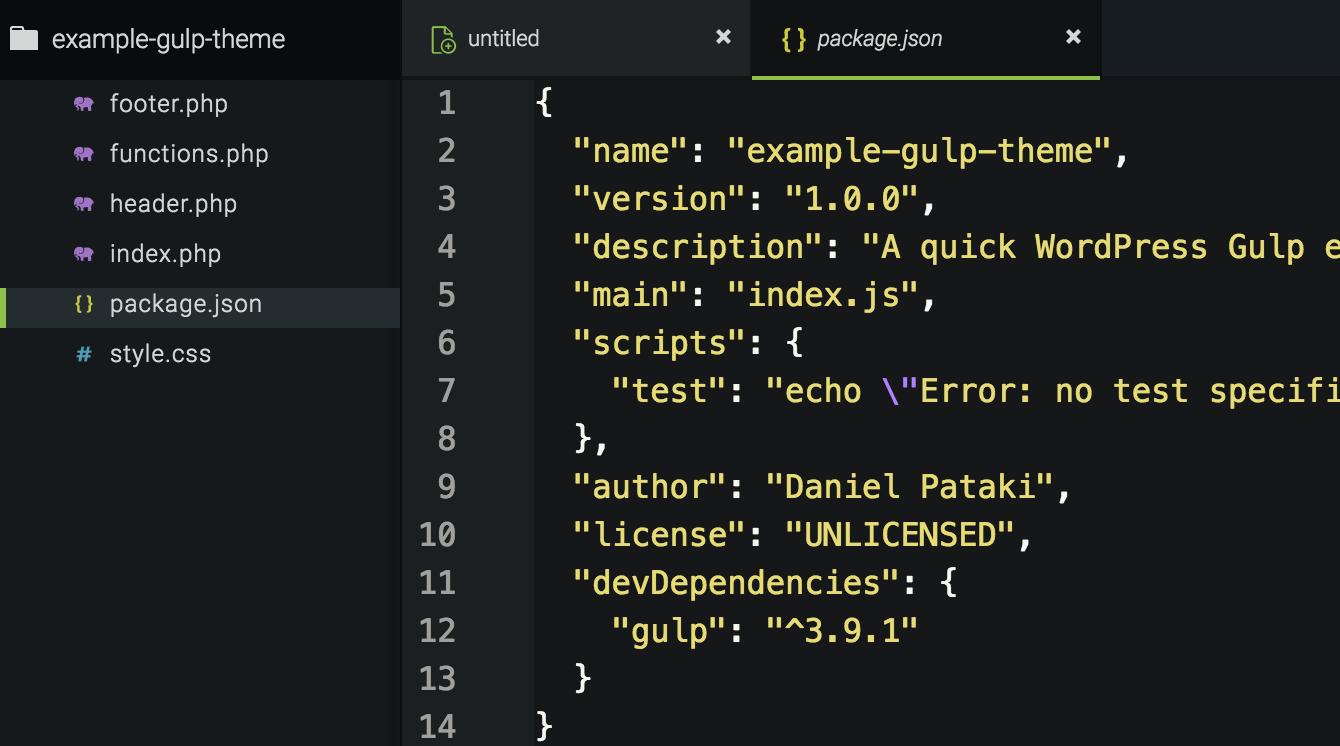 The package.json file