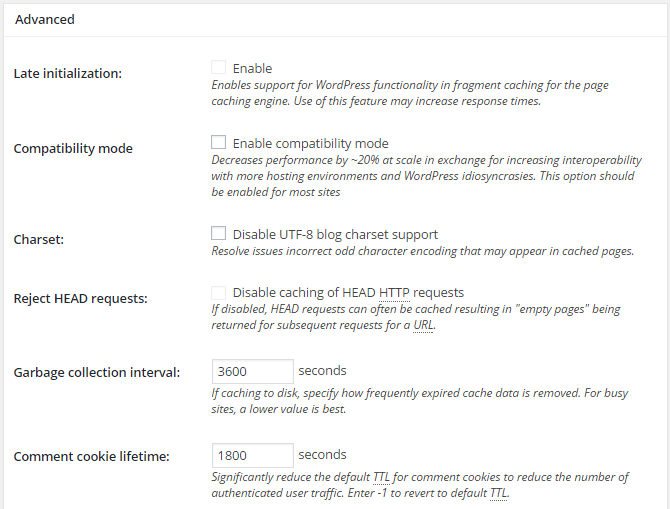 screenshot of page cache options in w3tc