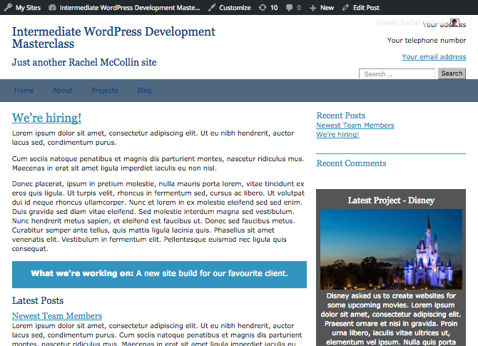 post metadata displayed below the post using the_meta()