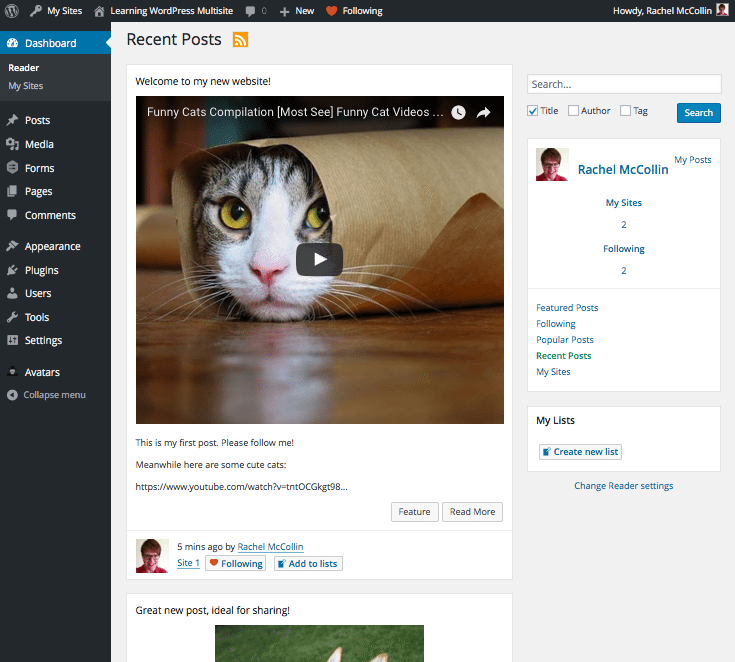 The Reader screen showing content