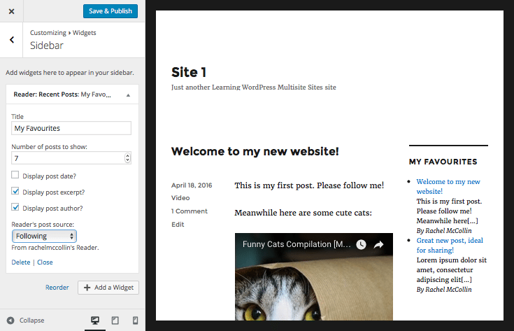 The Reader widget on the front-end