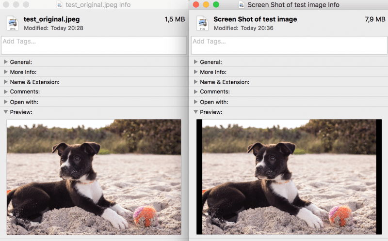 The original puppy on the left, and my screenshot on the right. More than 5 times bigger!