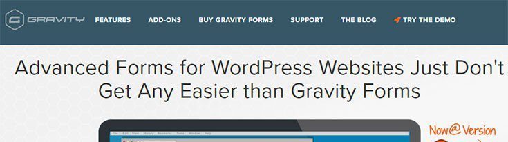 Screenshot-Gravity-Forms