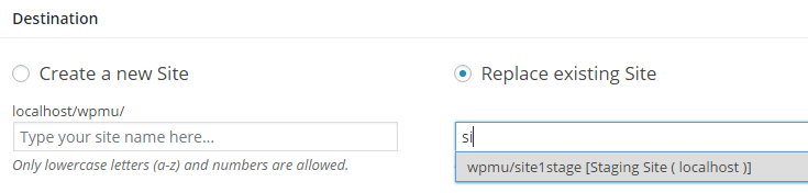 type in the url slug to identify the destination for the cloned site