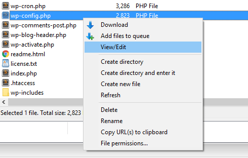 Contextua menu in Filezilla with the view / edit option highlighted