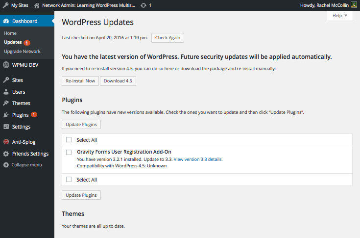 Plugin update screen
