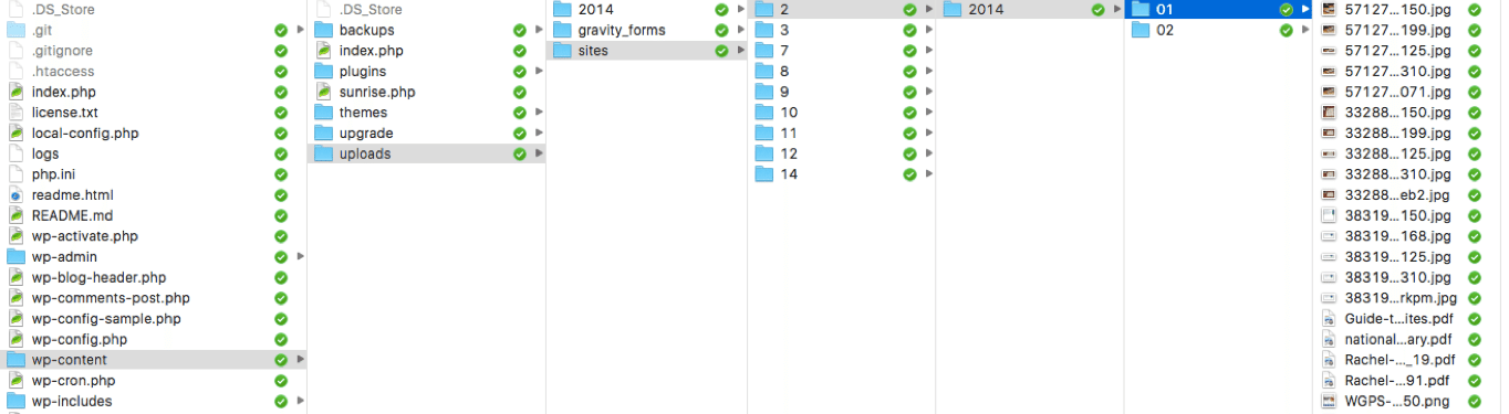 folder stricture in WordPress Multisite