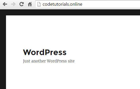 WordPress website live on the web