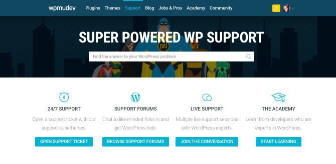 Our friendly and award-winning support team is on hand 24/7 to help you with any WordPress problem.
