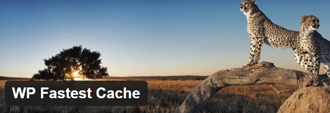 wp-fastest-cache