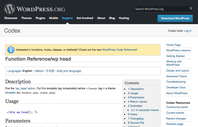 wp_head hook - Codex page