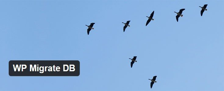 WP Migrate DB plugin